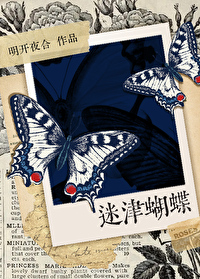 迷津蝴蝶 小说讲的什么